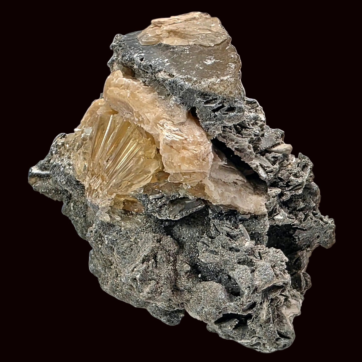 Mineral specimen with a central crystal on a white background
