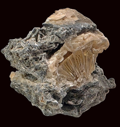 Mineral specimen with a central crystal on a gray background
