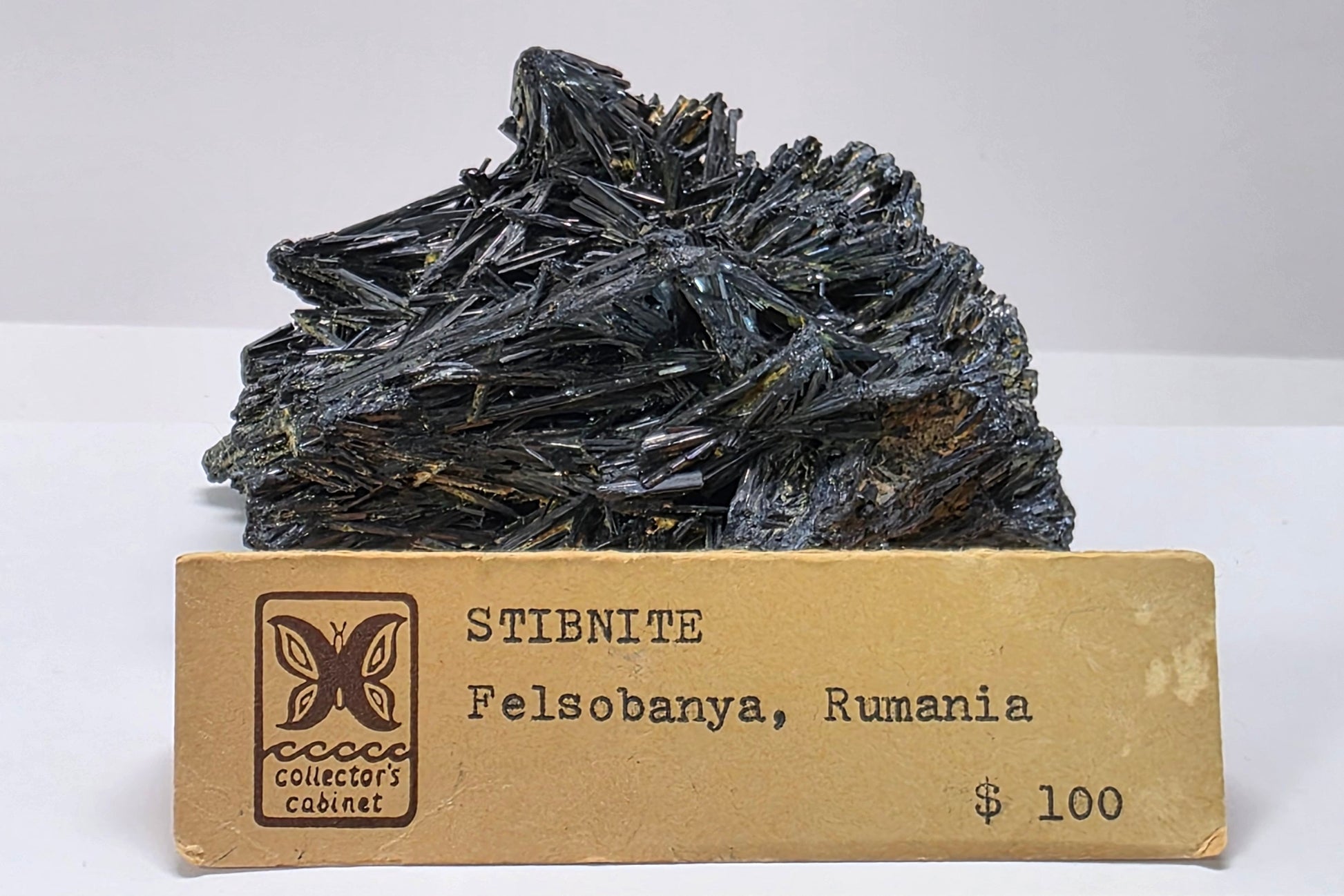 Stibnite mineral specimen with a label indicating origin and price on a white background