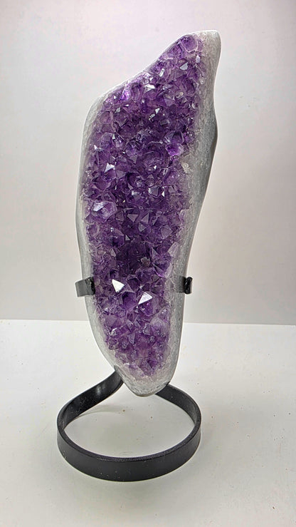 Deep Purple ‘Amethyst Flame’ on Custom Stand – Uruguay