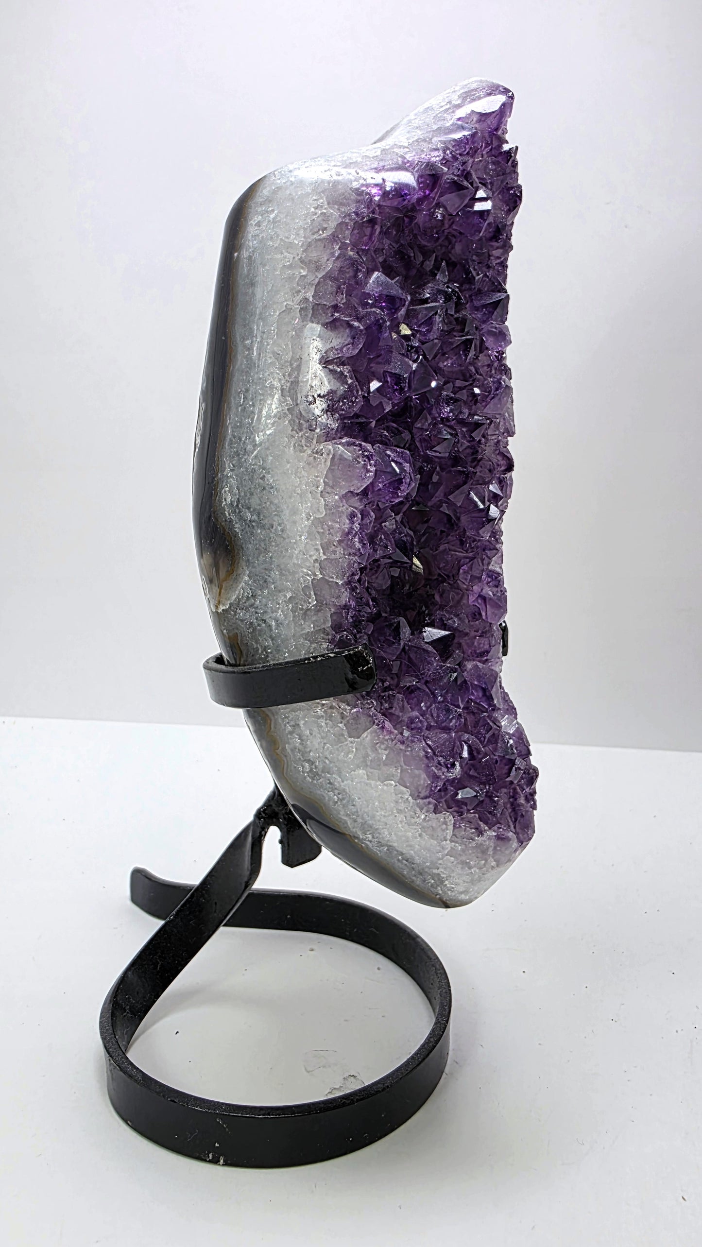 Deep Purple ‘Amethyst Flame’ on Custom Stand – Uruguay