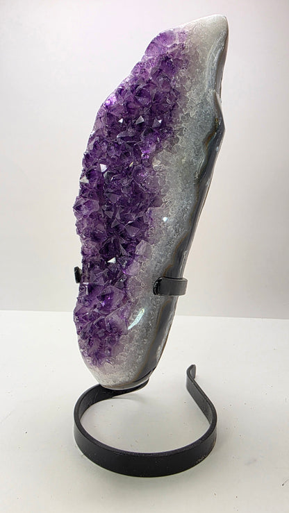 Deep Purple ‘Amethyst Flame’ on Custom Stand – Uruguay