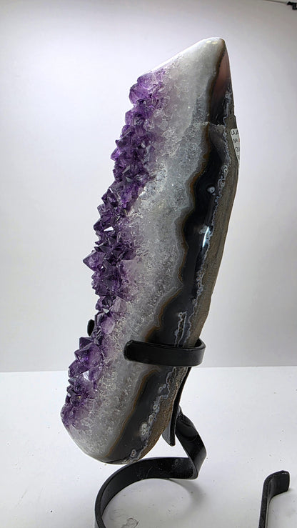 Deep Purple ‘Amethyst Flame’ on Custom Stand – Uruguay