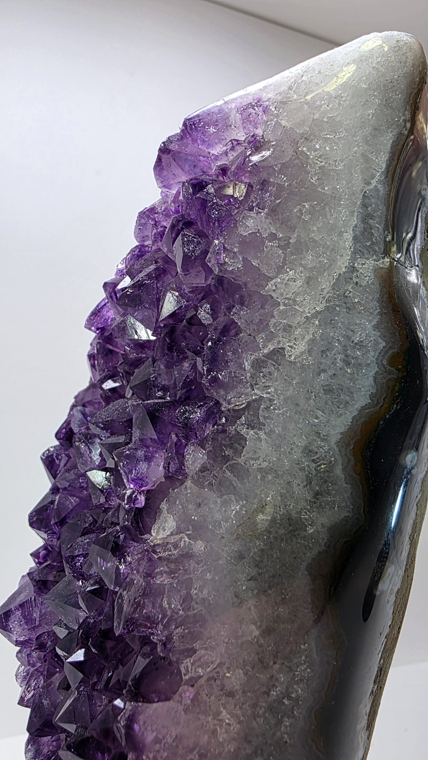 Deep Purple ‘Amethyst Flame’ on Custom Stand – Uruguay