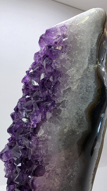 Deep Purple ‘Amethyst Flame’ on Custom Stand – Uruguay