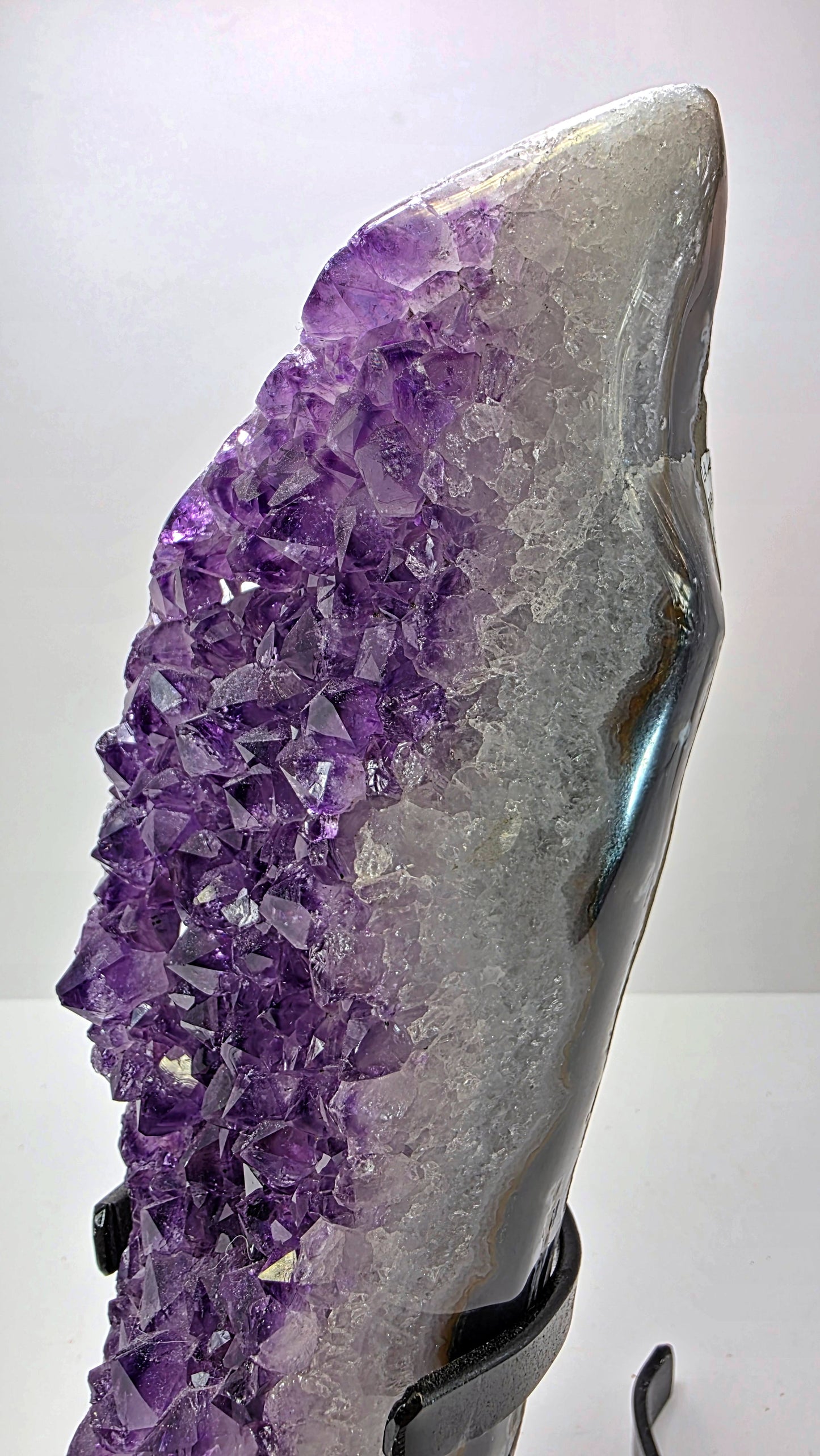 Deep Purple ‘Amethyst Flame’ on Custom Stand – Uruguay