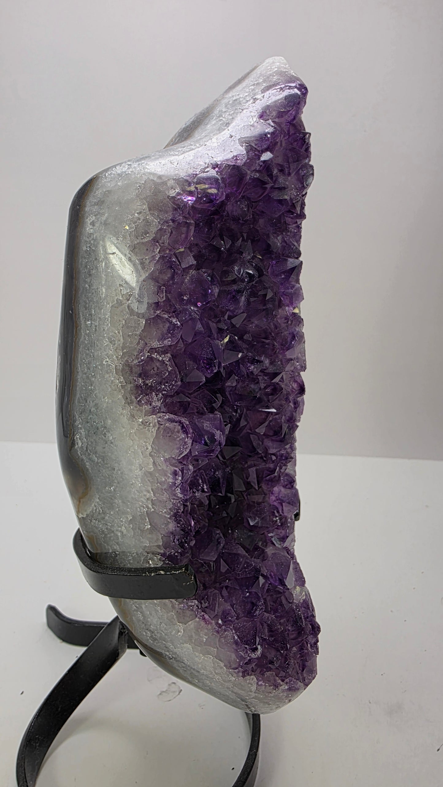 Deep Purple ‘Amethyst Flame’ on Custom Stand – Uruguay