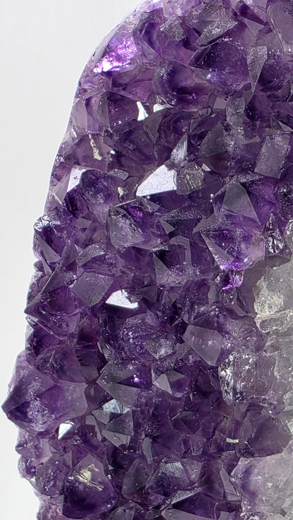 Deep Purple ‘Amethyst Flame’ on Custom Stand – Uruguay