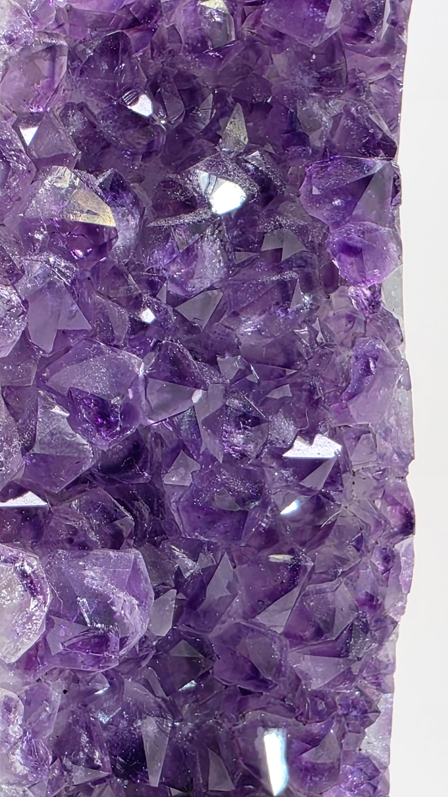 Deep Purple ‘Amethyst Flame’ on Custom Stand – Uruguay