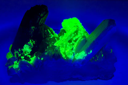 Multi-Color Fluorescent Schorl & Hyalite Association | Erongo, Namibia
