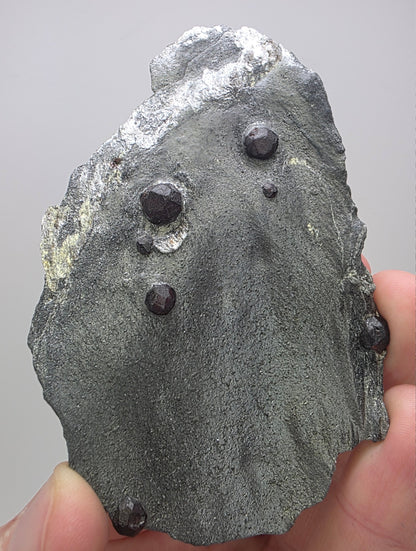 "Red Embers" Almandine Garnet in Graphite | Massachusetts, USA