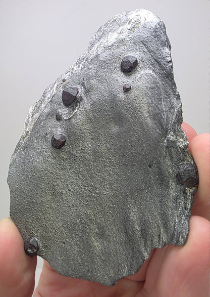 "Red Embers" Almandine Garnet in Graphite | Massachusetts, USA