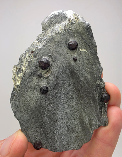 "Red Embers" Almandine Garnet in Graphite | Massachusetts, USA