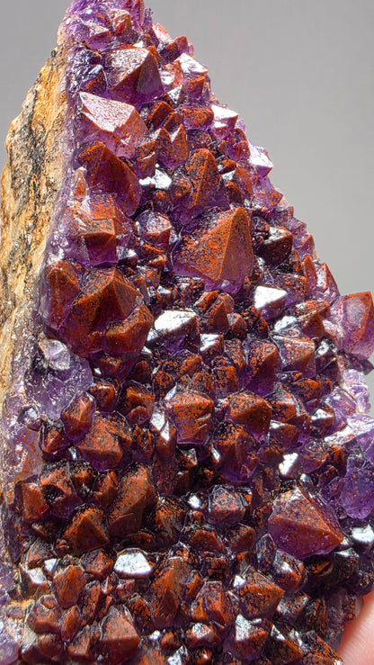 Hematite-Included Amethyst Cluster | Thunder Bay, Ontario | 200g