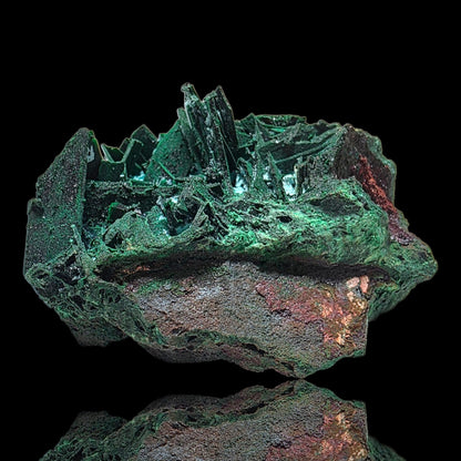 A raw mineral specimen featuring bright green fluorite crystals on a rough, earthy matrix with reddish-brown and metallic inclusions, set against a solid black background with a faint reflection below.