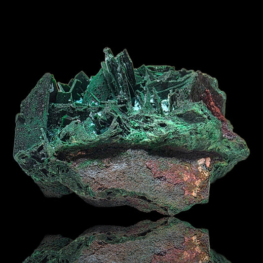 A raw mineral specimen featuring bright green fluorite crystals on a rough, earthy matrix with reddish-brown and metallic inclusions, set against a solid black background with a faint reflection below.