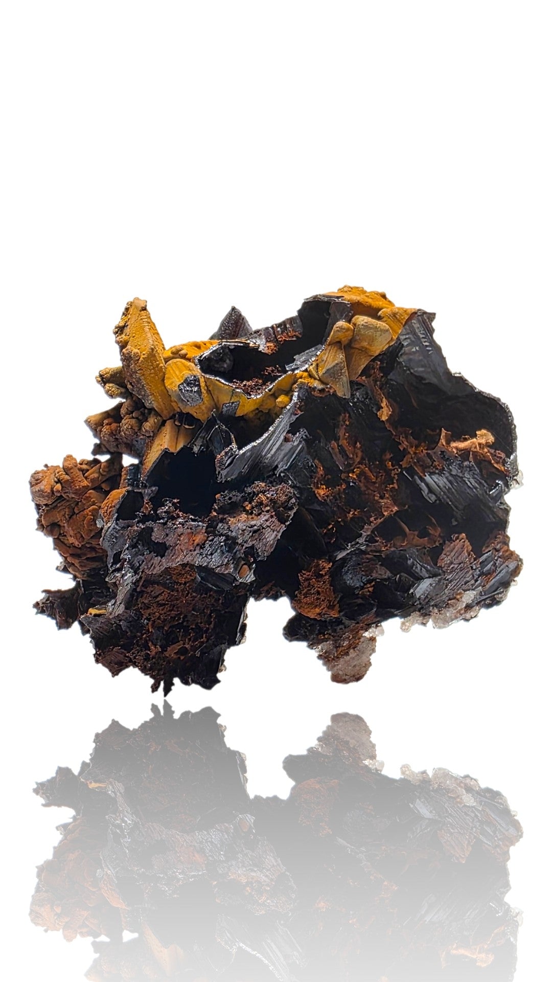Goethite Pseudomorph after Selenite | Mexico