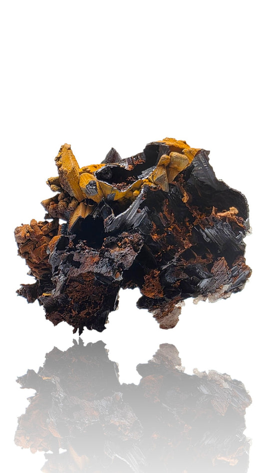 Goethite Pseudomorph after Selenite | Mexico