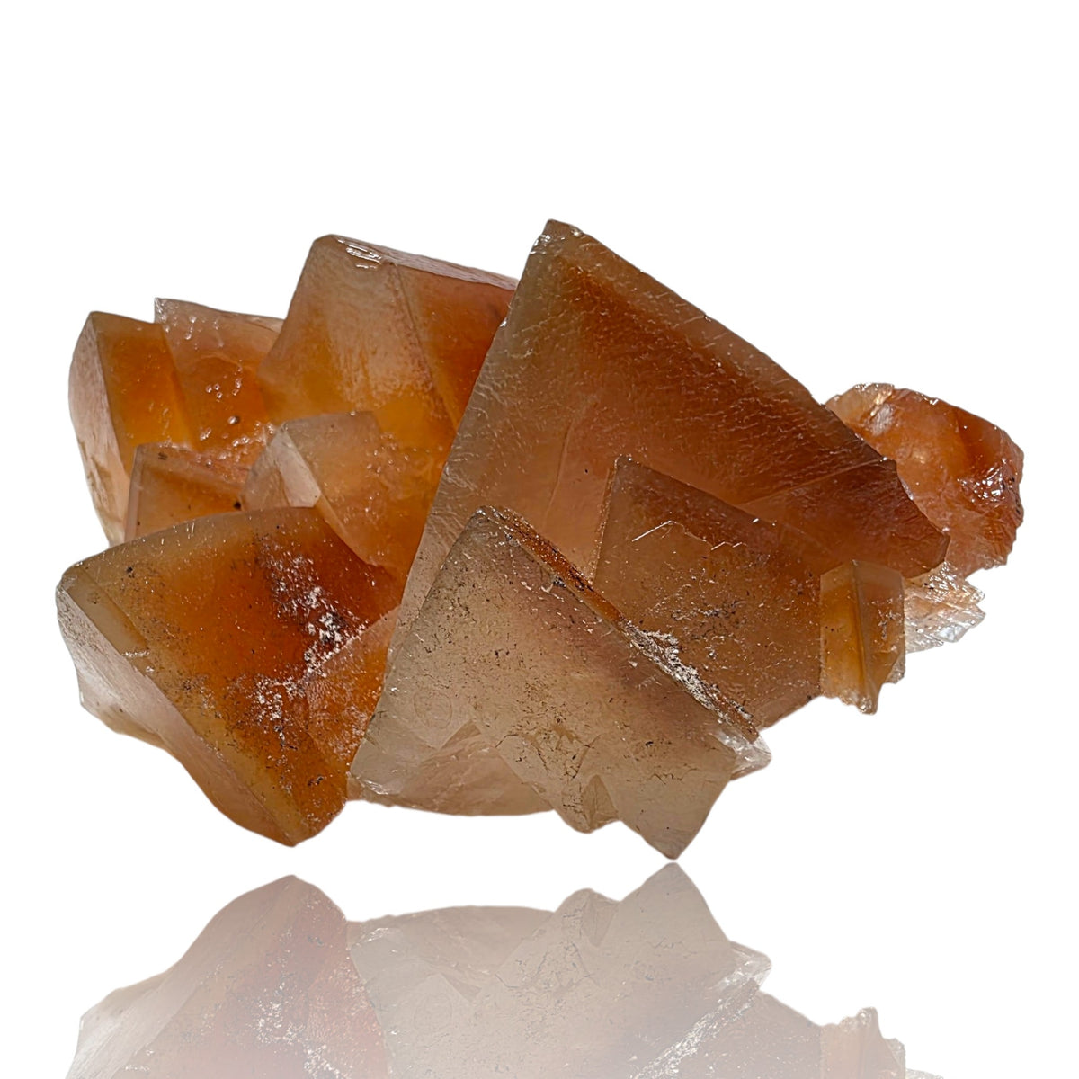 Mariposa "Butterfly" Calcite Specimen | Santa Eulalia, Mexico | 470g