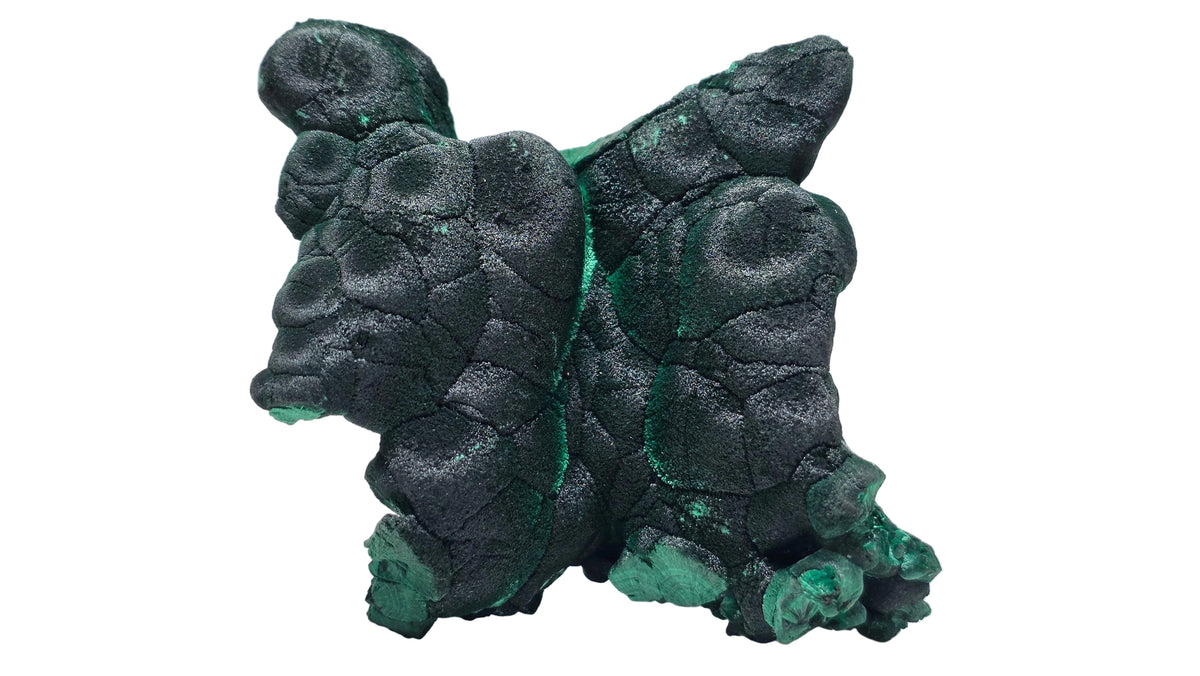 High-Chatoyancy "Cat's Eye" Fibrous Malachite | Shilu Mine, Guangdong, China | 2.8" / 200g