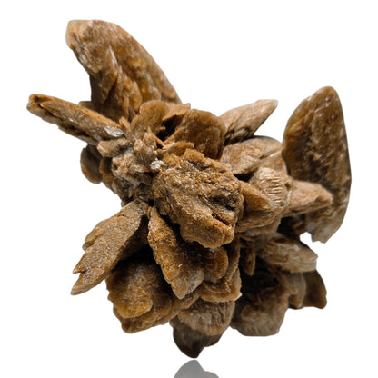 Bladed Sand Selenite Desert Rose Cluster | Inner Mongolia, China | 6.0" / 700g