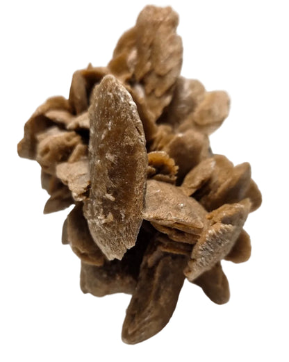 A cluster of small brown, textured flower buds or seed-like botanical pieces arranged together on a plain light background.