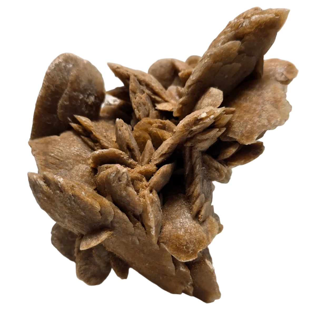 Bladed Sand Selenite Desert Rose Cluster | Inner Mongolia, China | 6.0" / 700g
