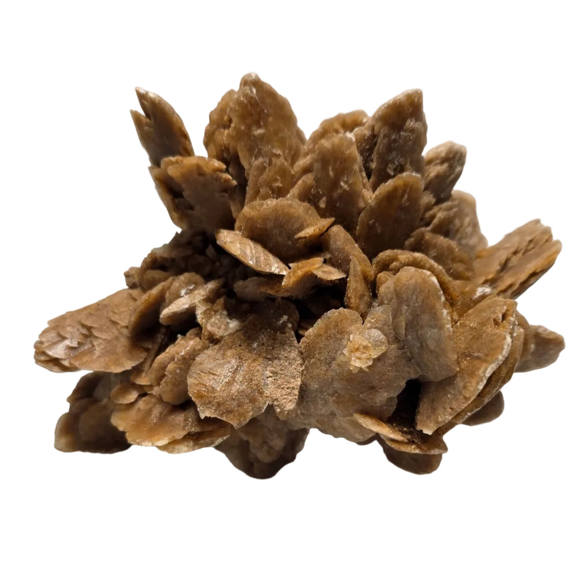 Bladed Sand Selenite Desert Rose Cluster | Inner Mongolia, China | 6.0" / 700g