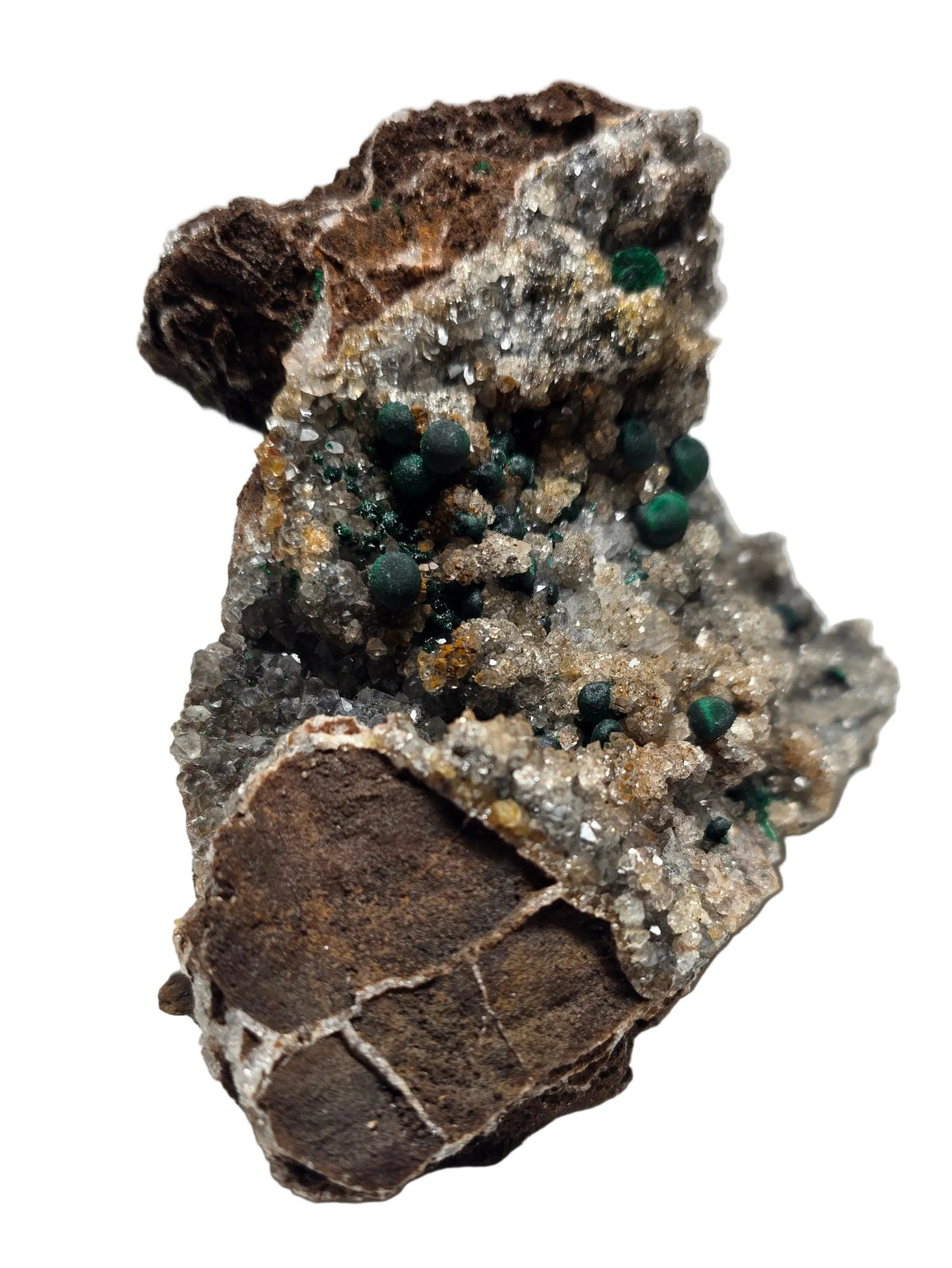 A mineral specimen featuring a dark brown matrix with a crystal cluster of green malachite and small gold flecks on a white background.