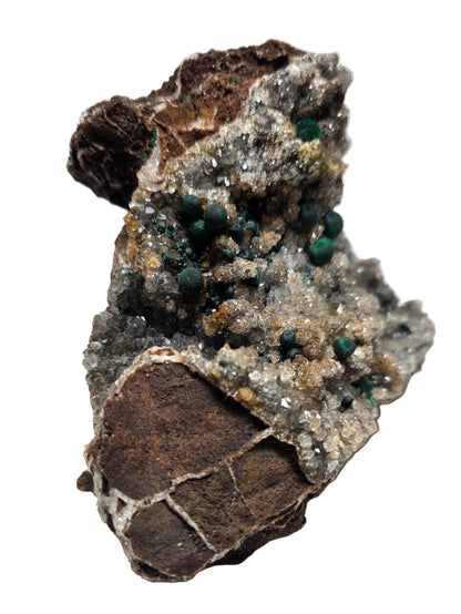 A mineral specimen featuring a dark brown matrix with a crystal cluster of green malachite and small gold flecks on a white background.