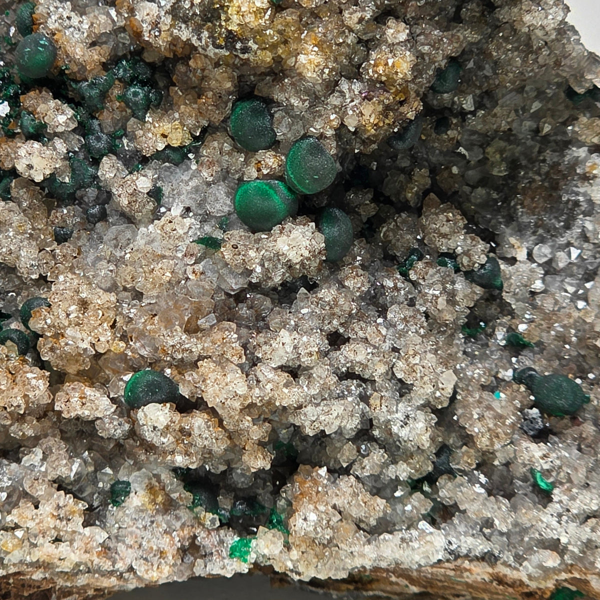 A close-up of a mineral specimen showing a cluster of clear and white crystals with scattered green malachite-like beads and a dark brown matrix at the top.