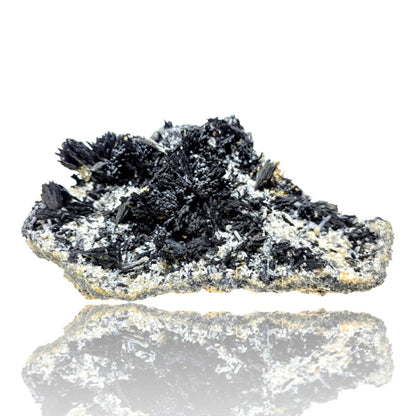 A mineral specimen featuring black needle-like crystals on a rough, silver-gray and gold-colored matrix, displayed on a reflective white surface.