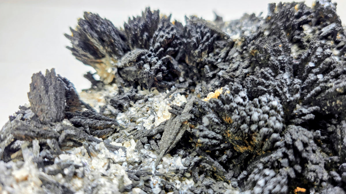 Classic Uvite Tourmaline Crystal Sprays on Matrix | Pierrepont, New York | 9.0" / 1.3kg