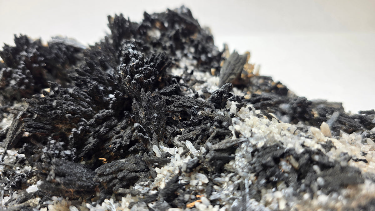 Classic Uvite Tourmaline Crystal Sprays on Matrix | Pierrepont, New York | 9.0" / 1.3kg