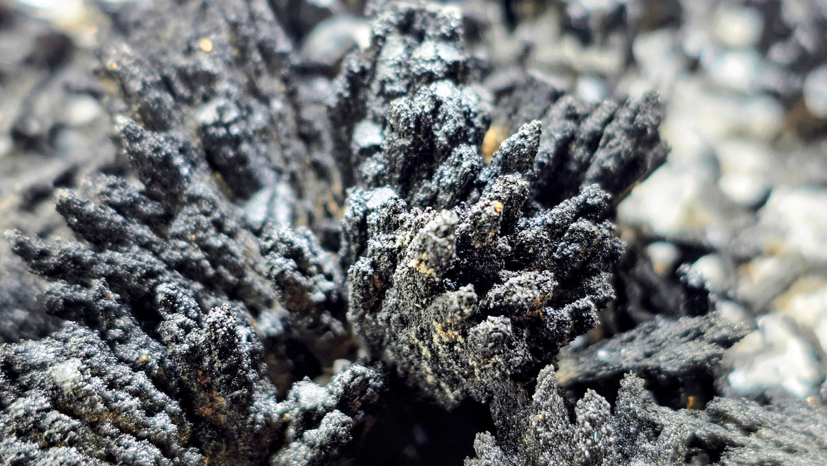 Classic Uvite Tourmaline Crystal Sprays on Matrix | Pierrepont, New York | 9.0" / 1.3kg