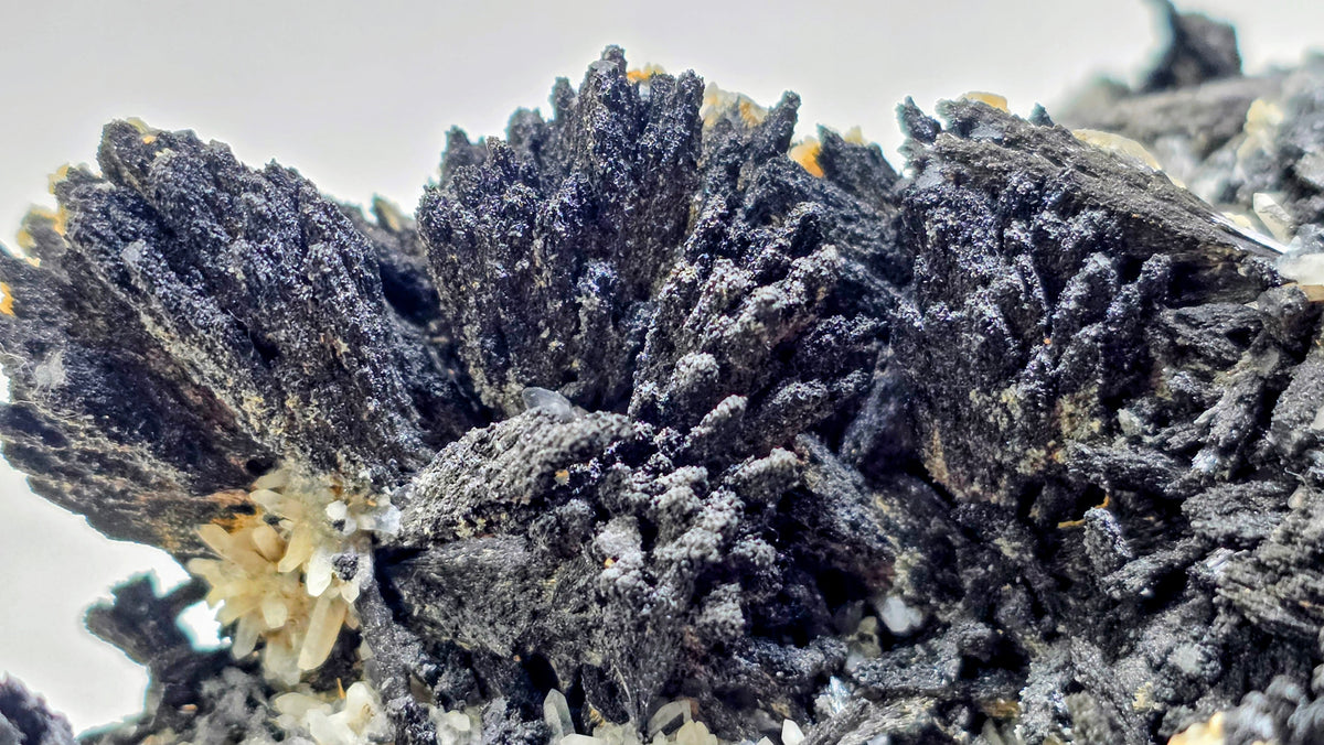 Classic Uvite Tourmaline Crystal Sprays on Matrix | Pierrepont, New York | 9.0" / 1.3kg