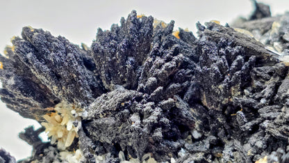 Classic Uvite Tourmaline Crystal Sprays on Matrix | Pierrepont, New York | 9.0" / 1.3kg