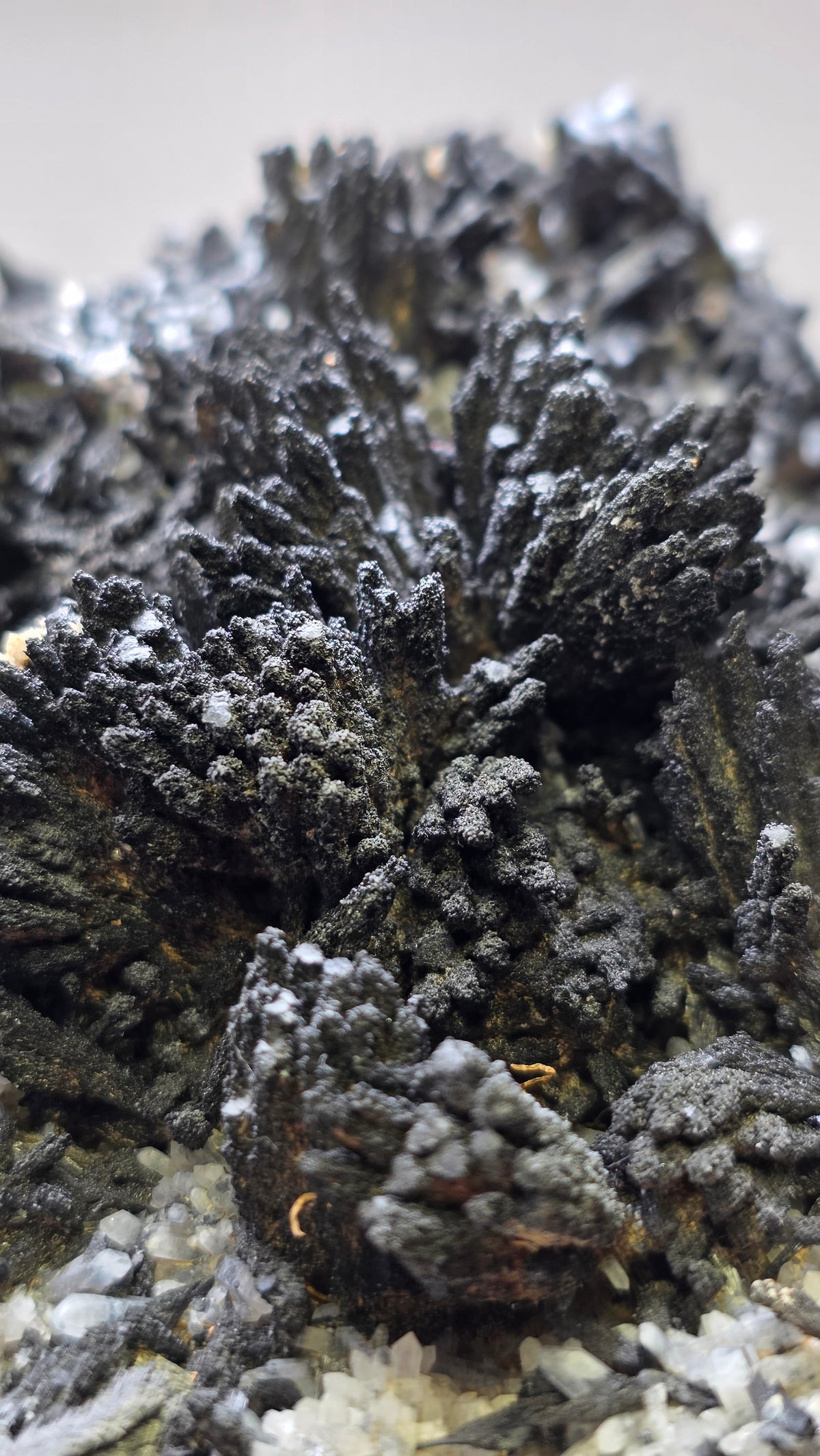 Classic Uvite Tourmaline Crystal Sprays on Matrix | Pierrepont, New York | 9.0" / 1.3kg