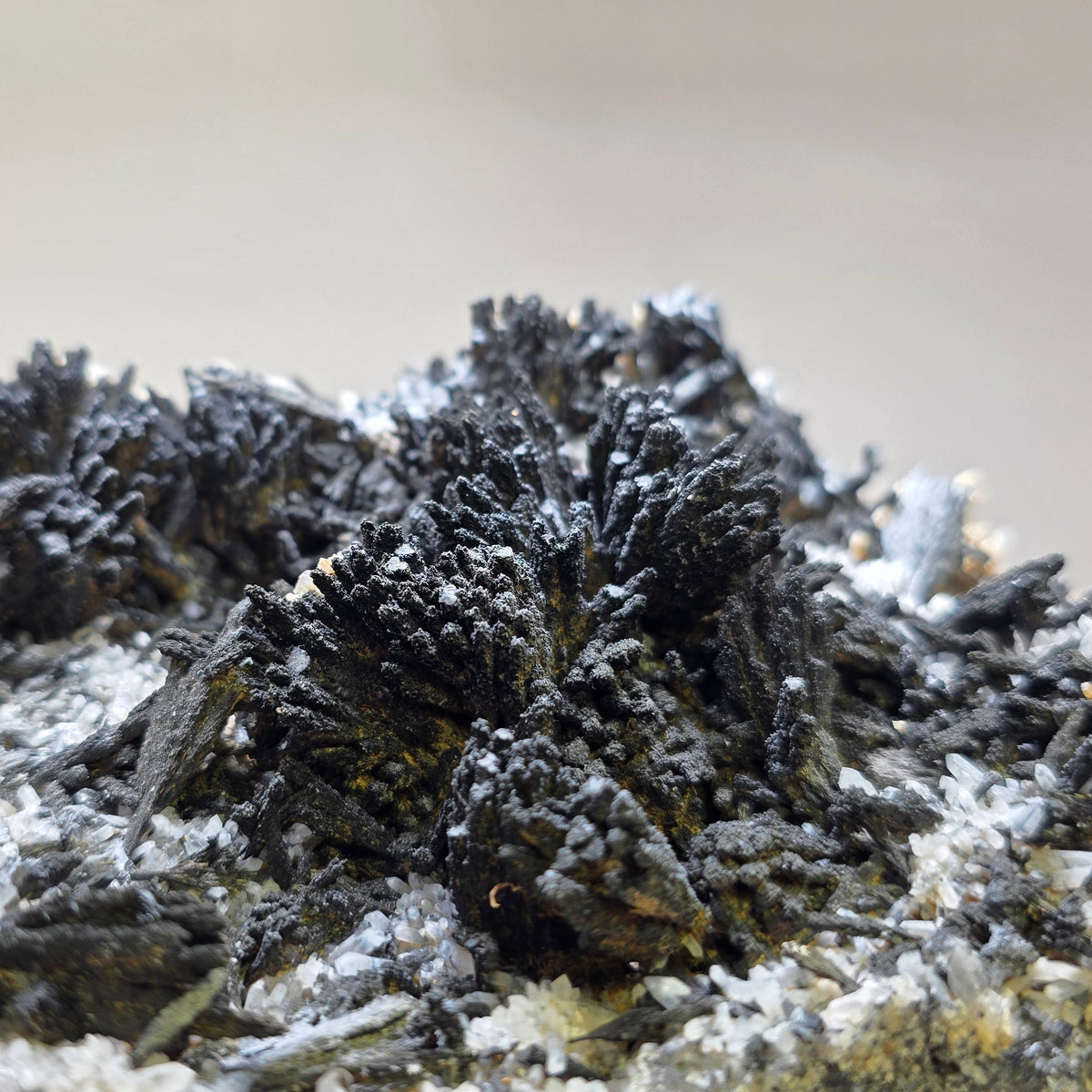 Classic Uvite Tourmaline Crystal Sprays on Matrix | Pierrepont, New York | 9.0" / 1.3kg