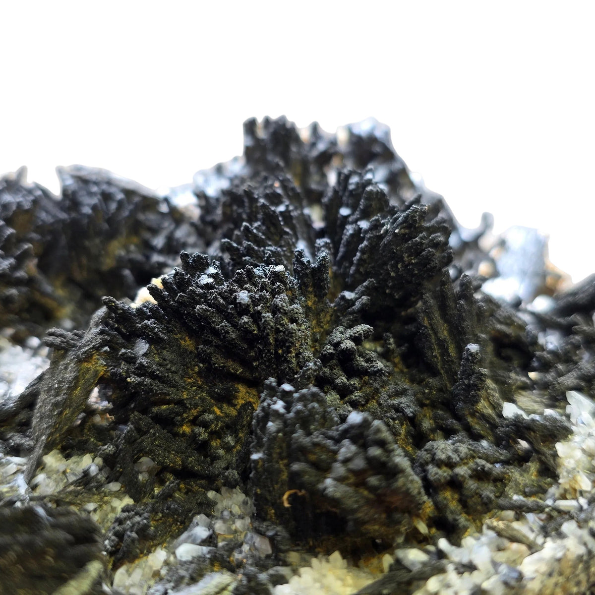 Classic Uvite Tourmaline Crystal Sprays on Matrix | Pierrepont, New York | 9.0" / 1.3kg