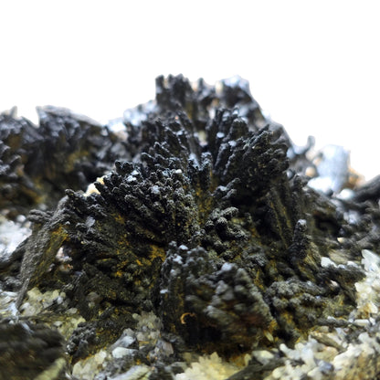 Classic Uvite Tourmaline Crystal Sprays on Matrix | Pierrepont, New York | 9.0" / 1.3kg