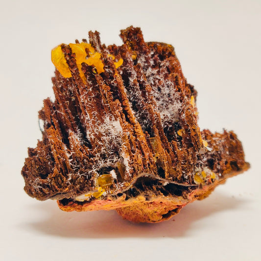 Butterscotch Wulfenite with Aragonite Sprays — Los Lamentos, Chihuahua, Mexico