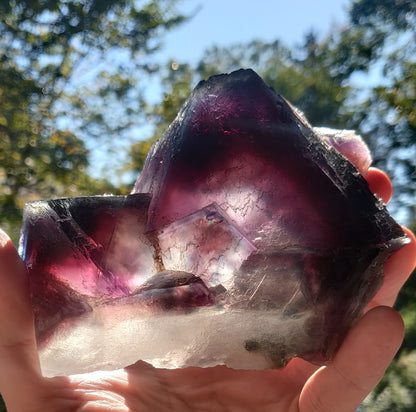 Person holding a large crystal with purple and clear colors against a natural background
