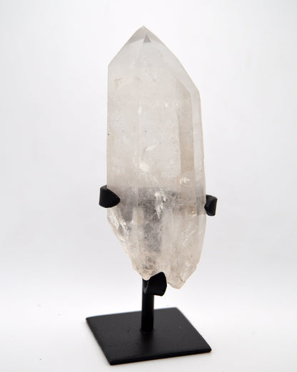 Lemurian on stand