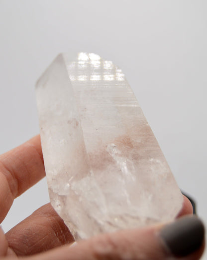 Lemurian on stand