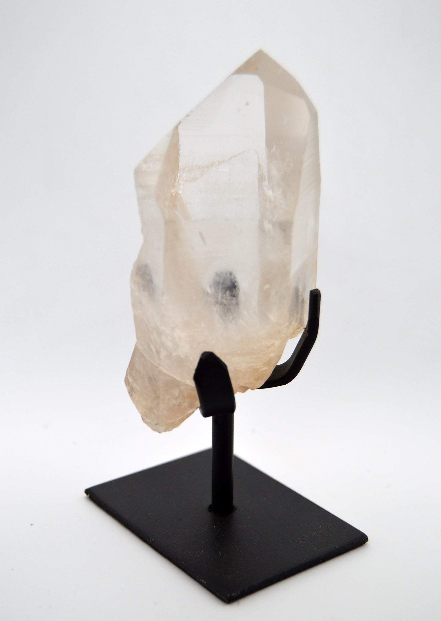 Lemurian on stand