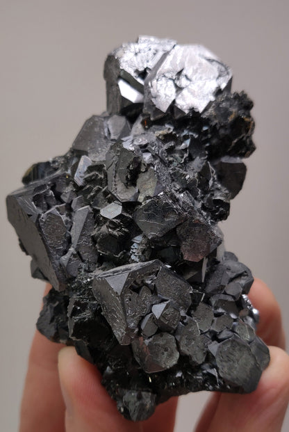 Close-up of metallic Galena crystal cluster with jet-black octahedral Sphalerite and golden Chalcopyrite from the Madan Ore Field, Bulgaria.