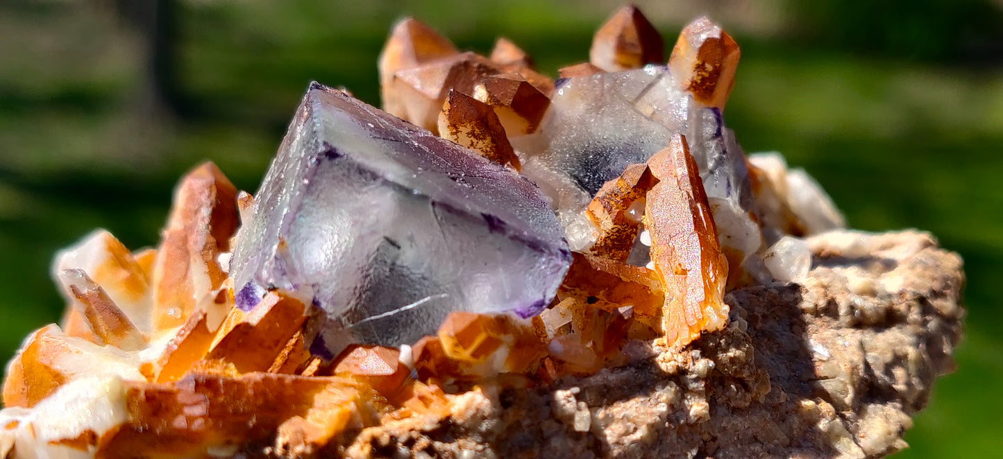 Brandberg Fluorite