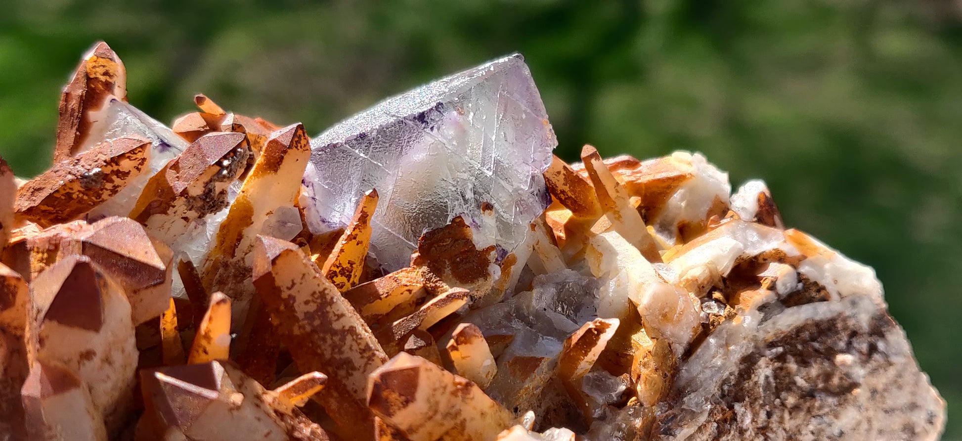 Brandberg Fluorite