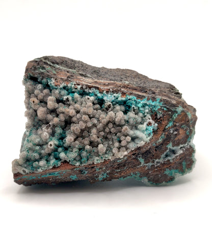 Druzy Botryoidal Chrysocolla, Ojuela Mine, Mapimi, Durango, Mexico